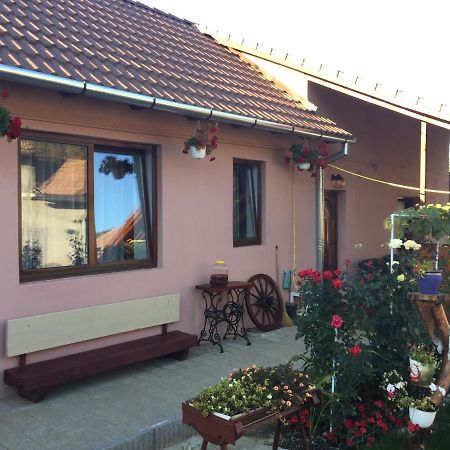 Casa Rustica Cu Terasa Villa เมดิอาช ภายนอก รูปภาพ