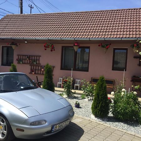 Casa Rustica Cu Terasa Villa เมดิอาช ภายนอก รูปภาพ