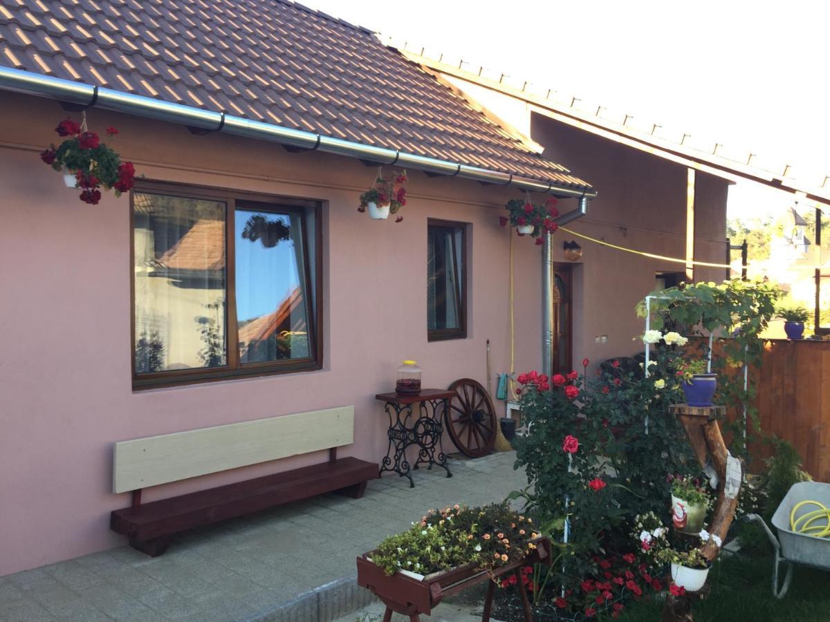 Casa Rustica Cu Terasa Villa เมดิอาช ภายนอก รูปภาพ
