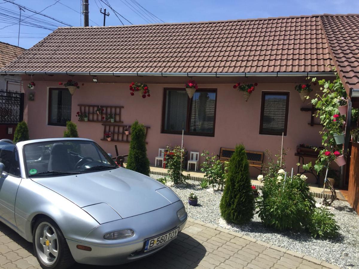 Casa Rustica Cu Terasa Villa เมดิอาช ภายนอก รูปภาพ