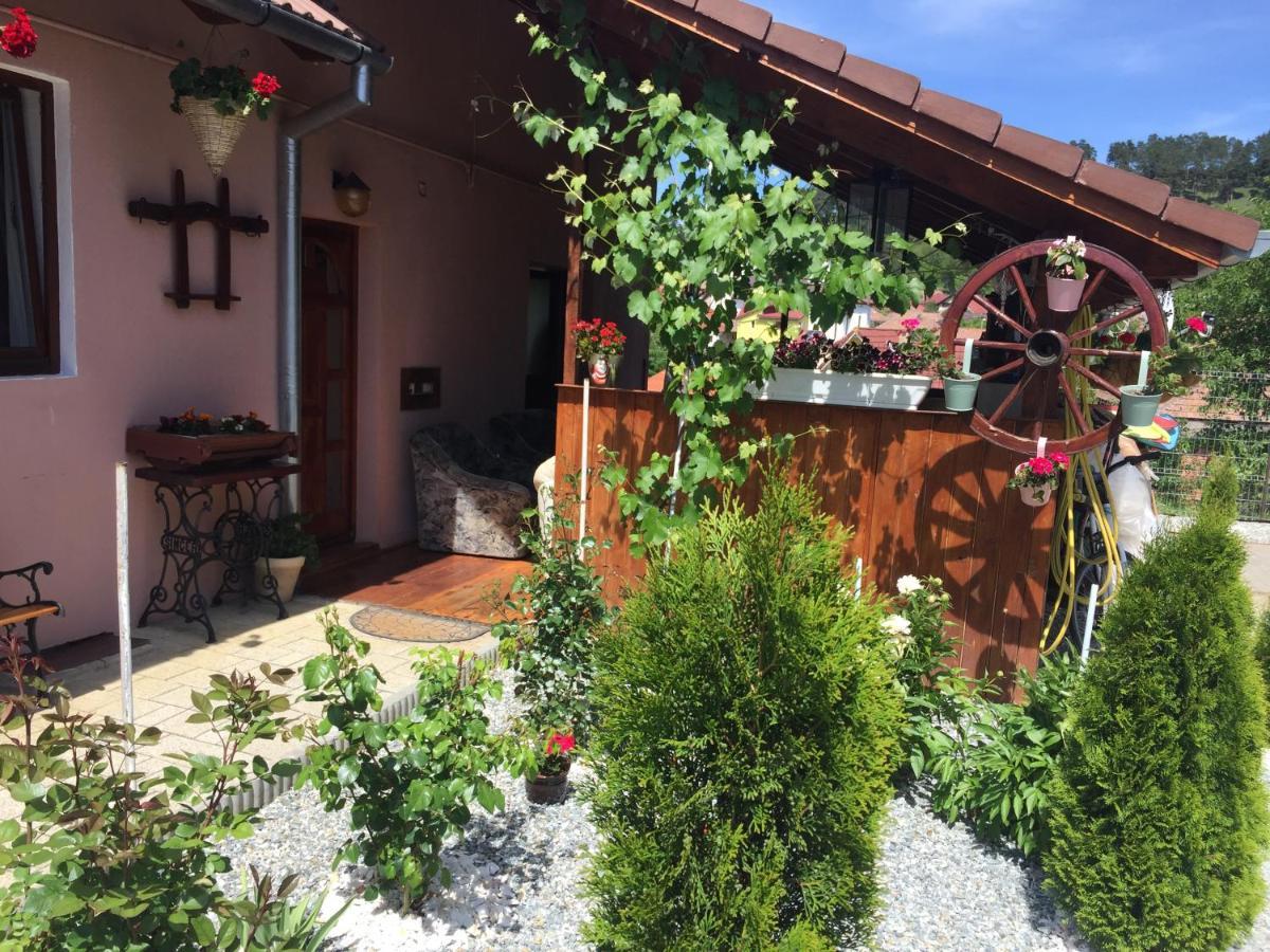 Casa Rustica Cu Terasa Villa เมดิอาช ภายนอก รูปภาพ